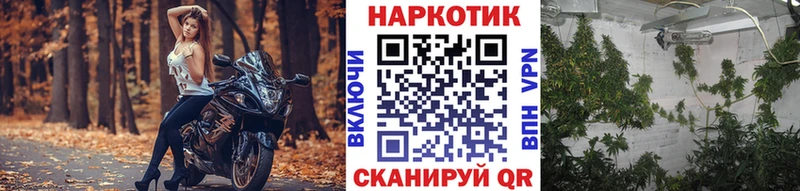 Какие есть наркотики Багратионовск СК  Гашиш  Марихуана 