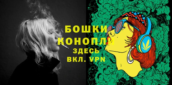 прущие грибы Нязепетровск